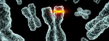 Biologistes médicaux